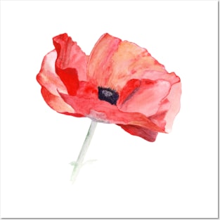 Poppy – summer is here Posters and Art